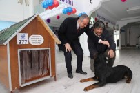 SOSYAL SORUMLULUK PROJESİ - STK'lardan Örnek Davranış