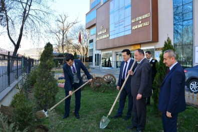 'Toprak Dede'yi Fidan Dikerek Andılar