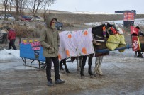 DOĞU ANADOLU - Çıldır'da Kızak Atlarına Battaniyeli Koruma