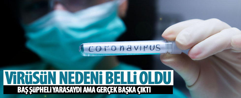 Corona virüsünün nedeni belli oldu!