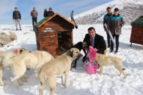 Dağa Oyuk Açan Belediye Başkanı, 'Köpek Köyü' Kurdu Haberi