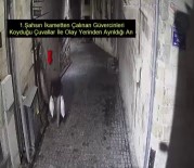 GAZIANTEP EMNIYET MÜDÜRLÜĞÜ - Güvercin Hırsızları Kameradan Kaçamadı