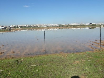 İsrail Baraj Kapaklarını Açtı Açıklaması Gazzeli Çiftçiler 350 Bin Dolar Zarar Etti