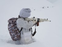 GEÇITLI - Karlı Dağlarda Terör Operasyonu