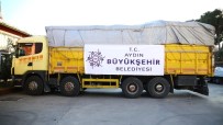 ÖZLEM ÇERÇIOĞLU - Aydın Büyükşehir Belediyesi Deprem Bölgesine Yardım Elini Uzattı
