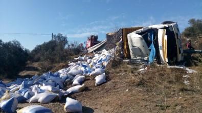 Çanakkale'de Yem Yüklü Kamyon Devrildi Açıklaması 1 Yaralı