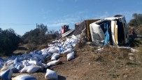 KÜÇÜKKUYU - Çanakkale'de Yem Yüklü Kamyon Devrildi Açıklaması 1 Yaralı