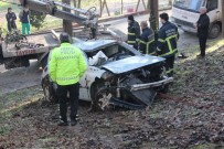 CEPHANELİK - Kontrolden Çıkan Otomobil Mesire Alanına Uçtu Açıklaması 1 Yaralı