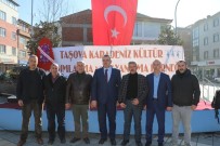 KARADENIZ - Taşova'da 'Hamsi Festivali'