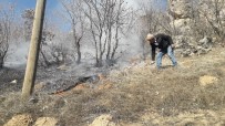 Ağaçlık Alandaki Yangına Vatandaşlar Müdahale Etti Haberi