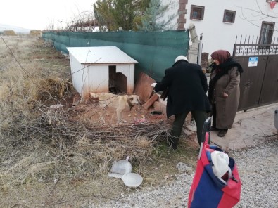 Aksaray'da 20 Yıldır Pazar Arabasıyla Hayvanlara Yiyecek Taşıyor