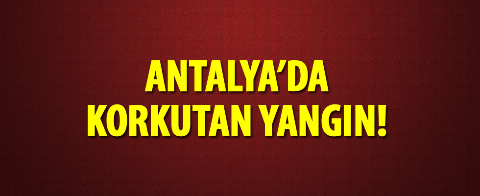 Antalya'da korkutan yangın! Çevrede güvenlik önlemi alındı