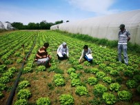TOPLANTI - Büyükşehir'den Köylere Hizmet Yağmuru