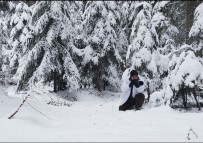 HABITAT - Karla Kaplı Ormanda Drone İle Geyikleri Böyle Görüntülediler