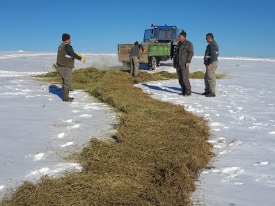 Konya'da Yaban Hayvanları İçin Kar Üzerine Yem Bırakıldı