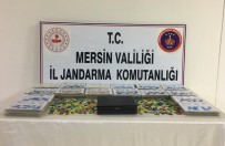 Mersin'de Sendika Binasına Kumar Operasyonu