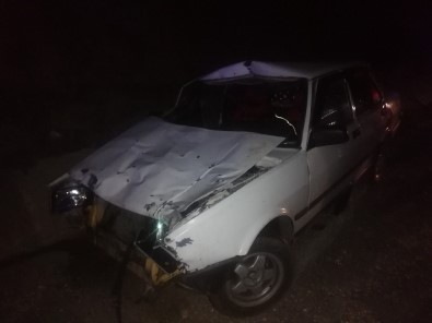 Otomobil Ata Çarptı Açıklaması 2 Yaralı
