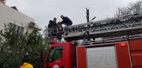 SAĞLIK EKİBİ - Alzaymır Hastası Yaşlı Kadın Yanan Evden Böyle Kurtarıldı