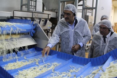 Başkan Konuk Açıklaması 'Bir Tesis Yapıldı, Konya Şeker Patates Üretimini 10 Yılda 3'E Katladı'