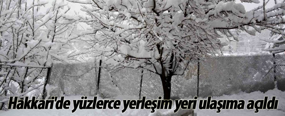 Hakkari'de yüzlerce yerleşim yeri ulaşıma açıldı