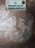 ŞANLIURFA - Şanlıurfa´Da İzinsiz Kazıda Roma Dönemine Ait Mozaikler Ortaya Çıktı