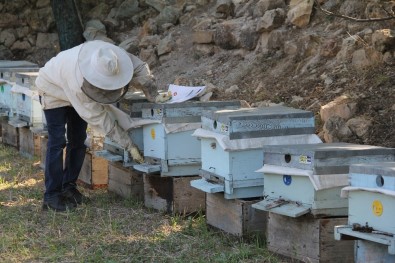 TKDK'dan Çorum'a 201 Milyon TL'lik Yatırım
