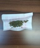 UYUŞTURUCU - Uyuşturucu Madde Yakalanan 20 Kişiye İşlem Yapıldı