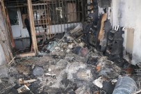 ERDEMIR - Yozgat'ta Pet Shopta Yangın, Çok Sayıda Hayvan Telef Oldu