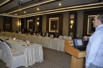 MEHMET TANıR - Afyonkarahisar'da Termal Ve Sağlık Turizmi Çalıştayı Gerçekleşti