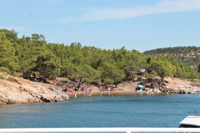 Ayvalık Tabiat Platformu'ndan Açıklama