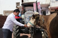 TOPLANTI - Bodrum'da Alım Garantili Üretim İçin İlk Adım Atıldı