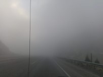 Denizli'de Yoğun Sis