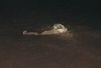 KURTARMA EKİBİ - Gübreye Batan Köpeği İtfaiye Kurtardı