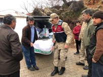 TAŞKALE - Jandarma Ekiplerinden Depremzedelere Yardım