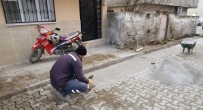 URGANLı - Turgutlu Belediye Ekiplerinin Saha Çalışmaları