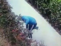 UYUŞTURUCU MADDE - Vahşet! Kediyi yerden yere vurdu