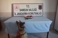 JANDARMA KOMUTANLIĞI - Bafra'da Kubar Esrar Ele Geçirildi