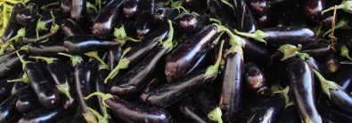 Bayburt, Erzincan Ve Erzurum'da Patlıcan Zam Şampiyonu