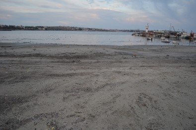 Deniz Çekildi, Balıkçı Tekneleri Ortada Kaldı