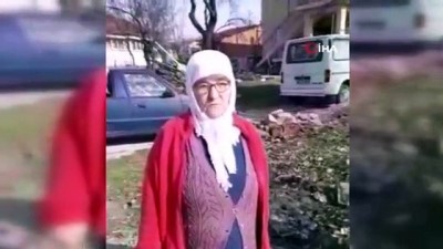 Denizli'de 3 Kedinin Kimyasal Madde İle Telef Edildiği İddiası