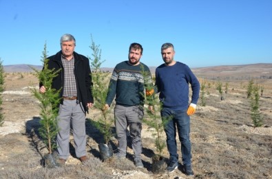 Emekli Maaşıyla 200 Bine Yakın Fidanı Toprakla Buluşturdu