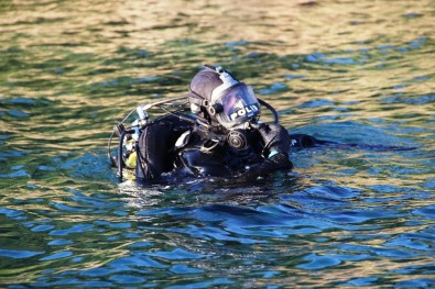 Havadan, Karadan Ve Denizden Aradılar