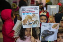 KARABÜK ÜNİVERSİTESİ - Kediler Üşümesin Diye Yuva Yaptılar