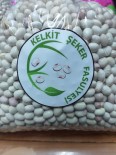 KURU FASULYE - Kelkit Şeker Fasulyesi Coğrafi İşaretini Aldı