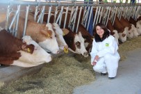 ORMAN BAKANLIĞI - Aydın'ın 49 Kırsal Kalkınma Projesine 24 Milyonluk Hibe Desteği