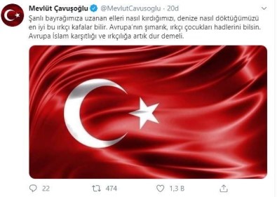 Çavuşoğlu'ndan Yunan vekile sert tepki