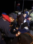 GÜMBET - Bodrum'da 39 Göçmen Yakalandı