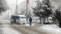 KAR TEMİZLEME - Ahlat'ta Yoğun Kar Yağışı