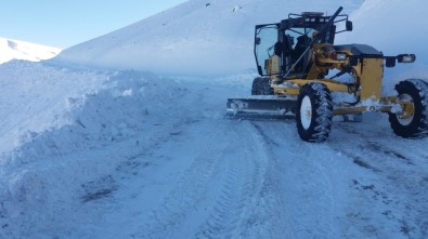 Bingöl'de Kar 178 Köy Yolunu Ulaşıma Kapattı