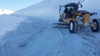 KAR KALINLIĞI - Bingöl'de Kar 178 Köy Yolunu Ulaşıma Kapattı